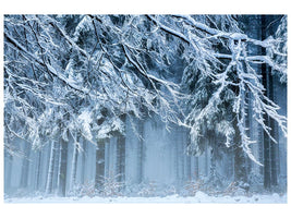 canvas-print-snowworld-x