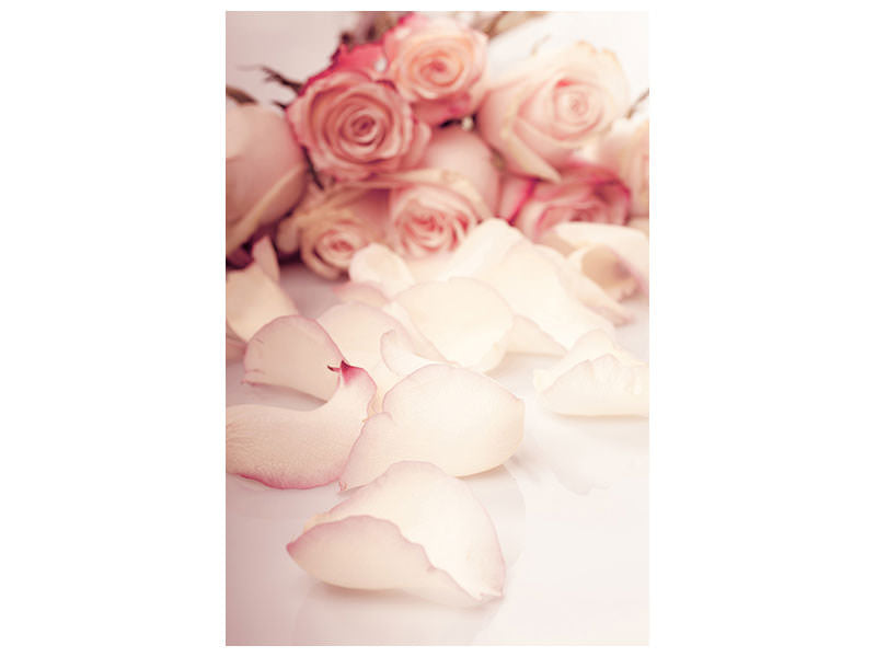 canvas-print-soft-rose-petals