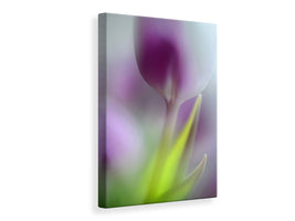 canvas-print-soft-secrets