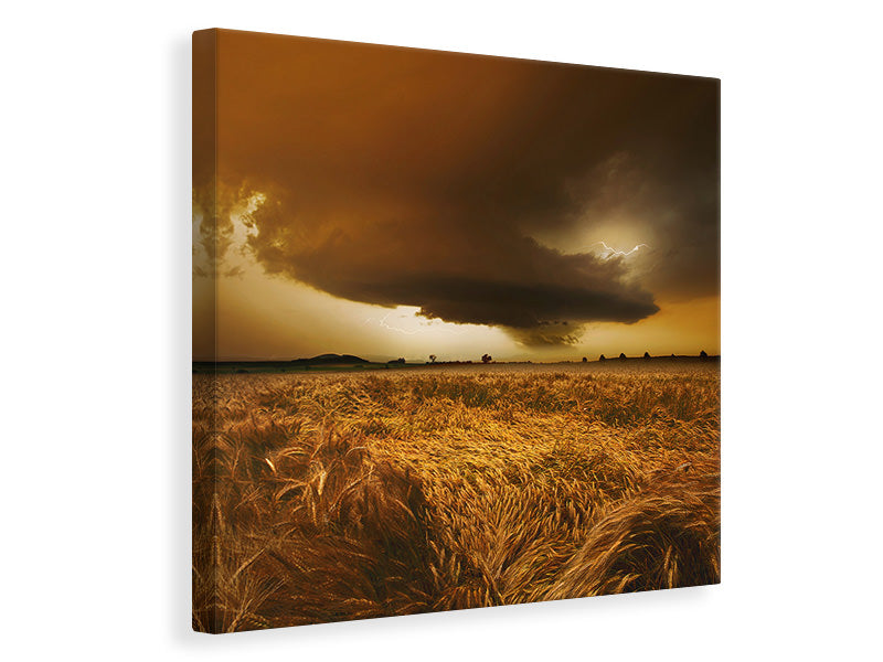 canvas-print-spaetsommer-stimmung