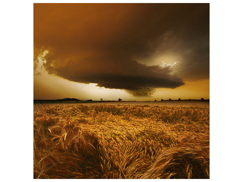 canvas-print-spaetsommer-stimmung