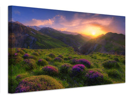 canvas-print-spring-in-show-x