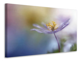 canvas-print-springtime-watercolor