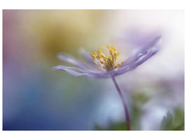 canvas-print-springtime-watercolor