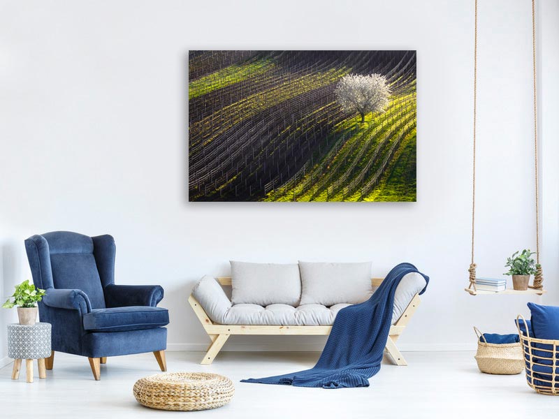 canvas-print-strings-of-spring-x