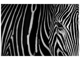 canvas-print-stripes-xgh