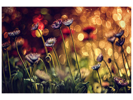 canvas-print-summer-flowers