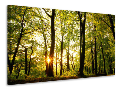 canvas-print-sunset-between-trees