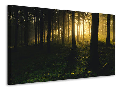 canvas-print-sunset-in-the-forest