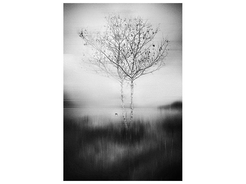 canvas-print-that-tree