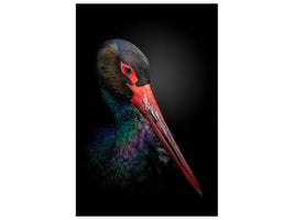 canvas-print-the-black-stork