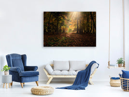 canvas-print-the-deciduous-forest