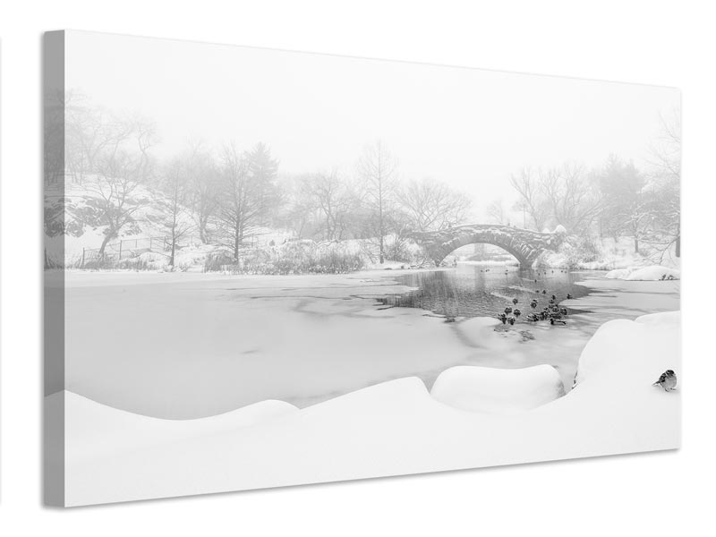 canvas-print-the-first-snow-of-central-park-x