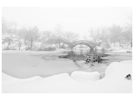 canvas-print-the-first-snow-of-central-park-x