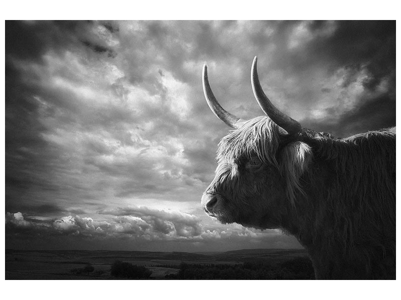 canvas-print-the-highlands-x