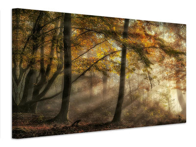 canvas-print-the-lights-of-the-forest-x