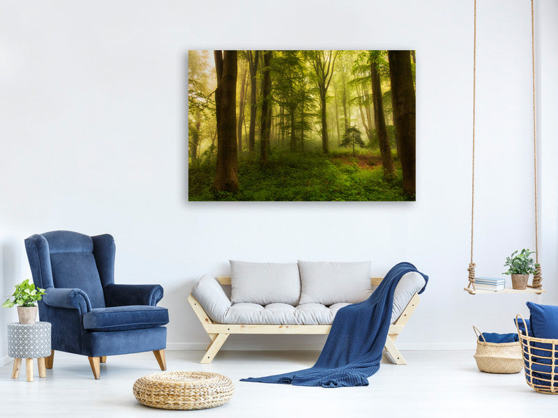 canvas-print-the-little-tree