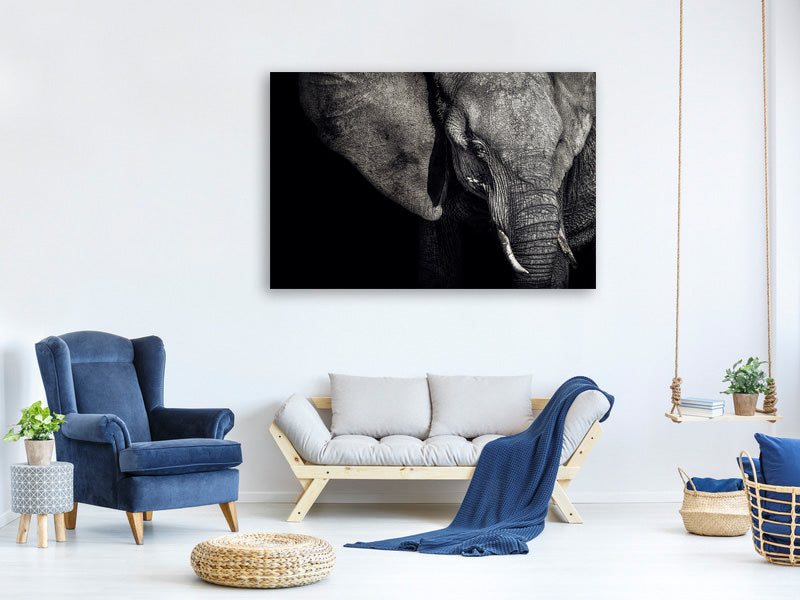 canvas-print-the-matriarch