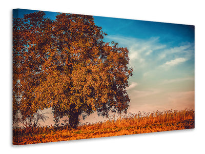 canvas-print-the-nut-tree