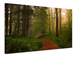 canvas-print-the-red-path-x