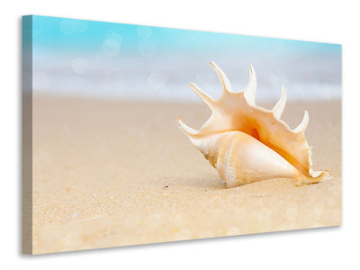 canvas-print-the-shell-on-the-beach