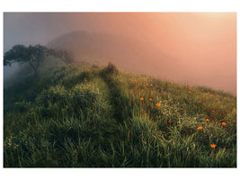 canvas-print-the-story-of-the-foggy-morning