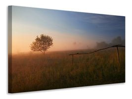 canvas-print-the-summer-field