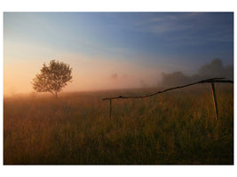 canvas-print-the-summer-field