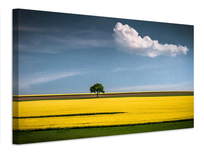 canvas-print-the-tree-and-the-cloud-x