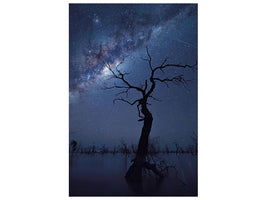 canvas-print-the-tree-p