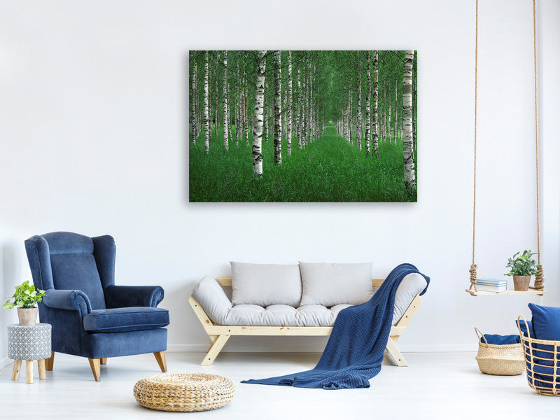 canvas-print-the-tunnel