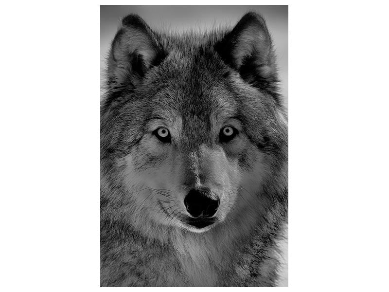 canvas-print-the-wolf-x