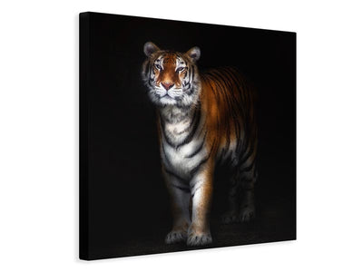 canvas-print-tiger-portrait-ii-x
