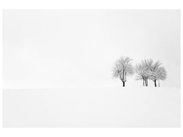 canvas-print-tree-and-silence-x