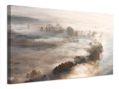 canvas-print-trees-in-the-fog-x