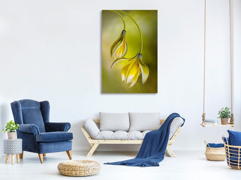 canvas-print-tulipa