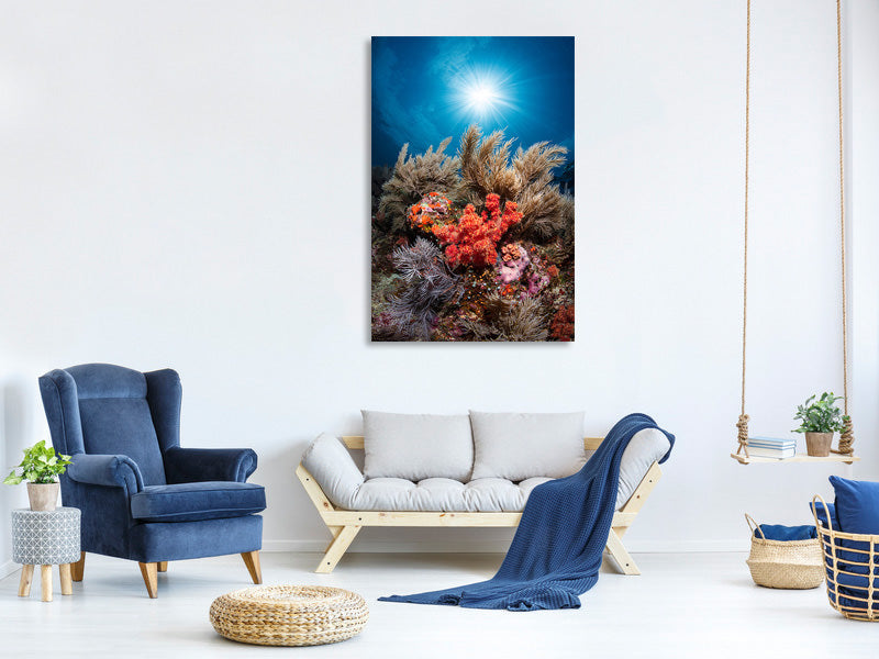 canvas-print-underwater-life
