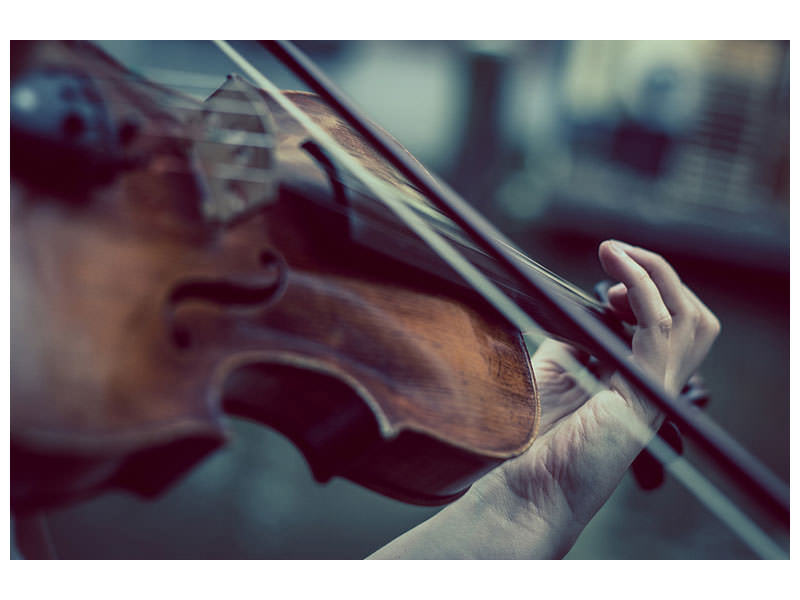 canvas-print-violin