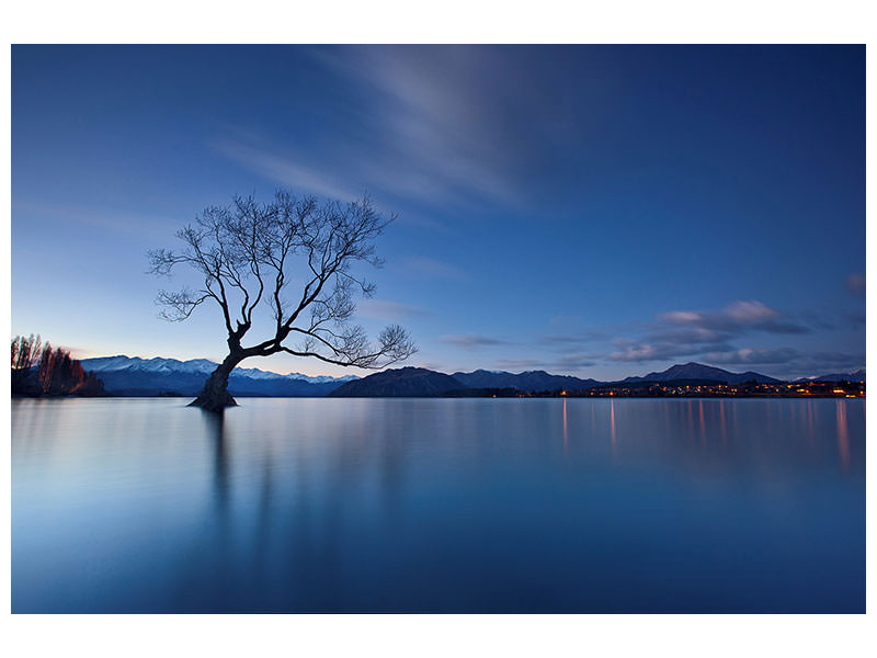 canvas-print-wanaka-twilight