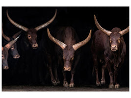 canvas-print-watusi-family-x