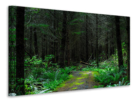 canvas-print-wild-forest