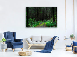 canvas-print-wild-forest