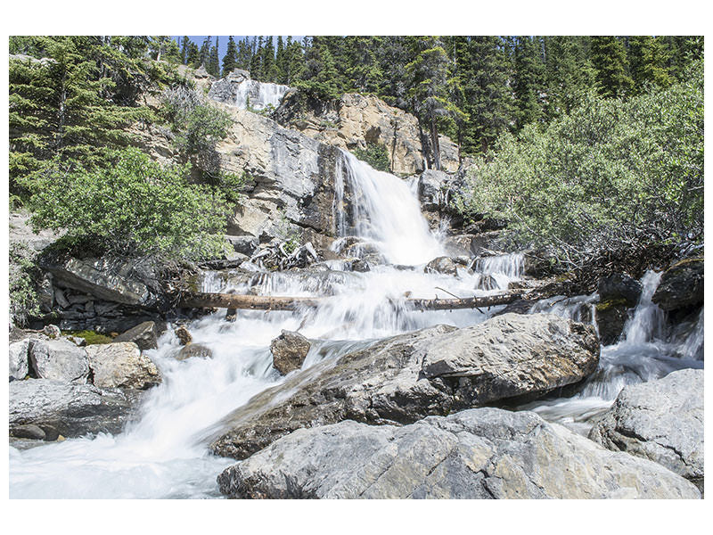canvas-print-wild-waterfall-in-the-forest