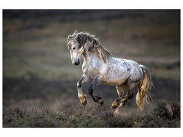 canvas-print-wild-wild-west-x