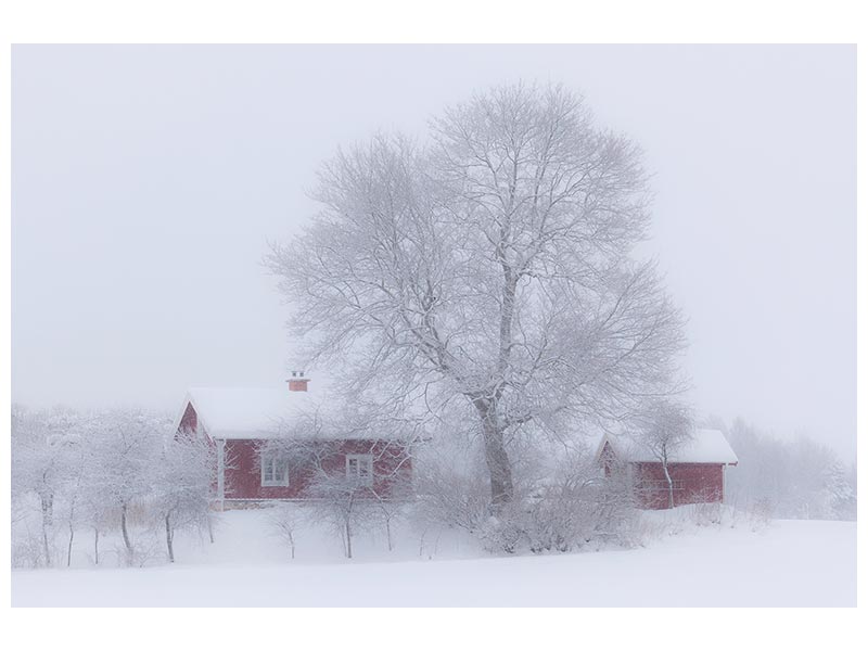 canvas-print-winter-idyll-x