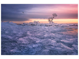 canvas-print-winter-wonderland-x