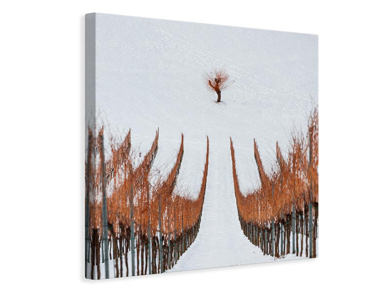 canvas-print-winter-xpm