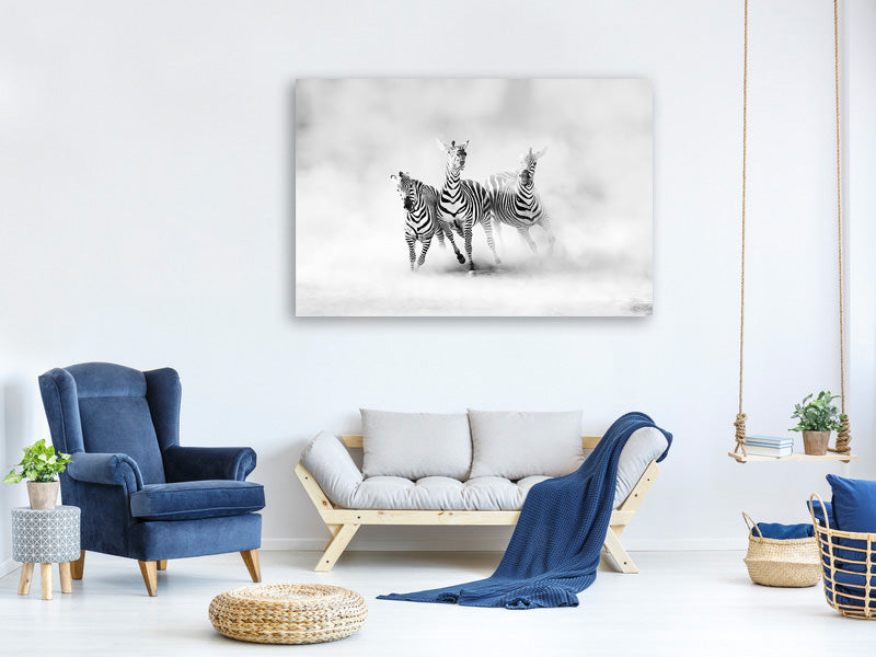 canvas-print-zebras