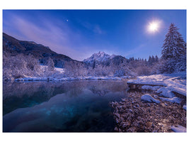 canvas-print-zelenci-springs