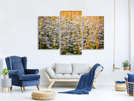 modern-3-piece-canvas-print-a-field-full-of-camomile